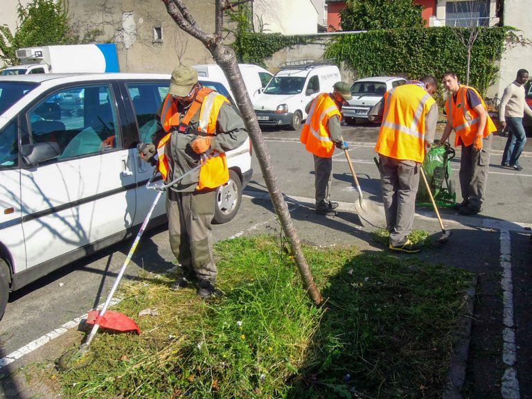 Photo 2 de Entretien d’espaces verts