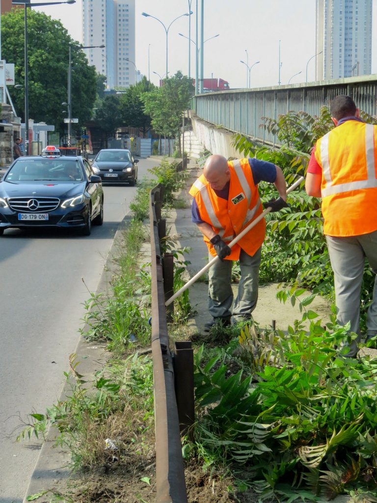 Photo 5 de Entretien d’espaces verts