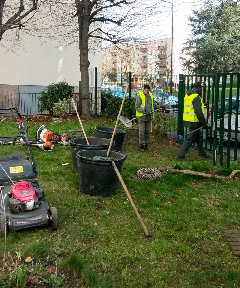 Photo 6 de Entretien d’espaces verts