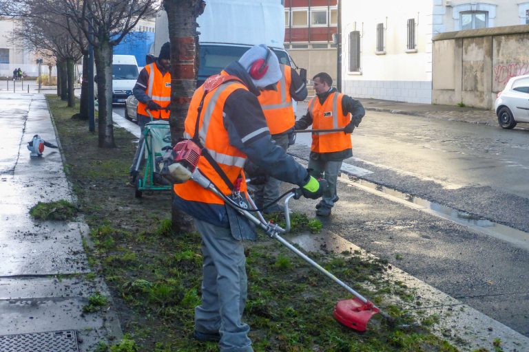 Photo 1 de Entretien d’espaces verts