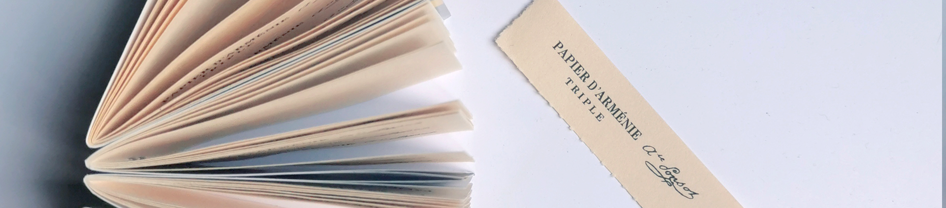 Carnets de bandelettes