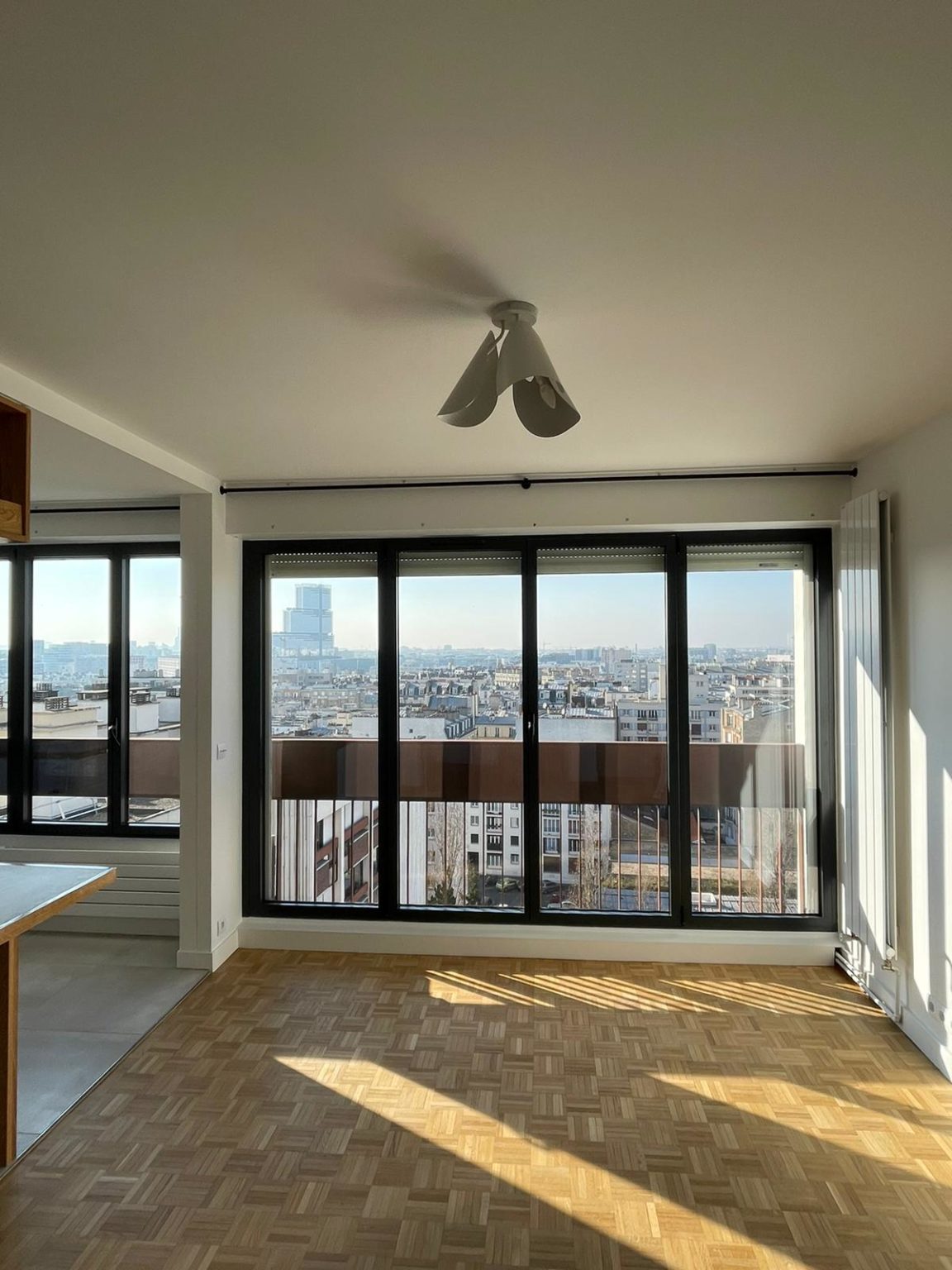 Renovation globale dun appartement parisien