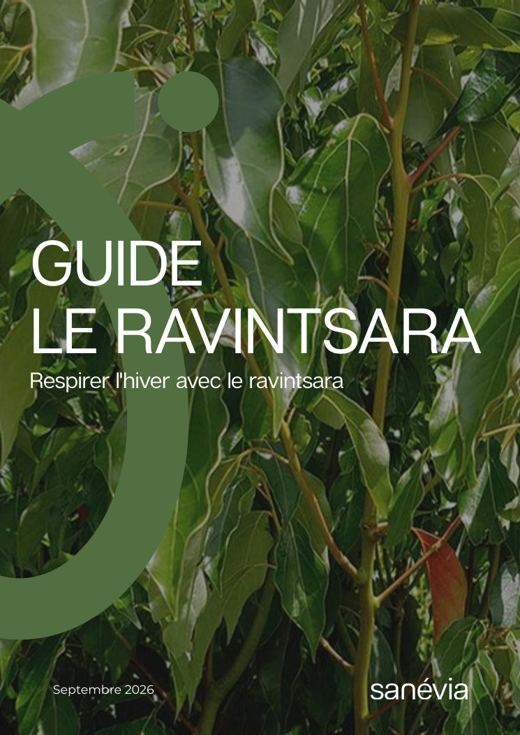 Couverture du guide Ravintsara