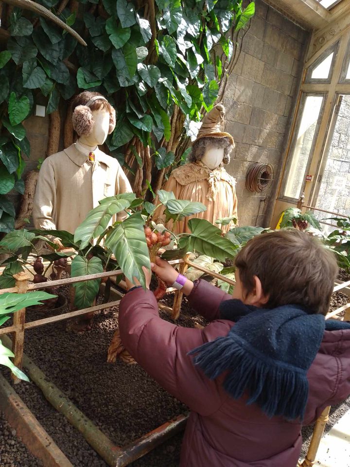 son-plus-beau-reve-gerault-harry-potter-16