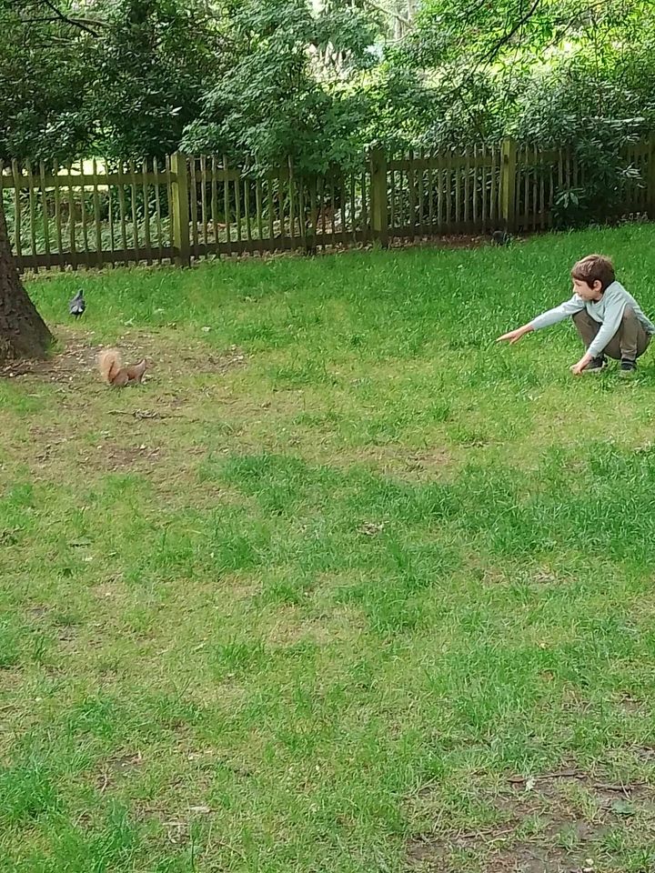 son-plus-beau-reve-gerault-harry-potter-17