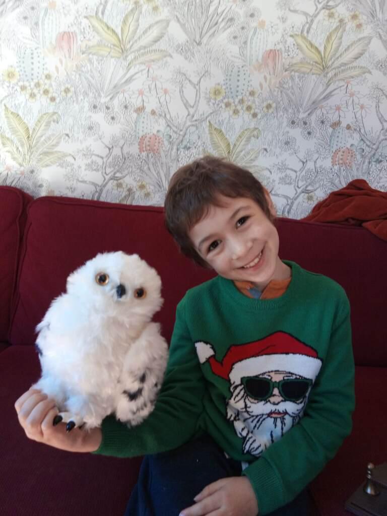 son-plus-beau-reve-gerault-harry-potter-2