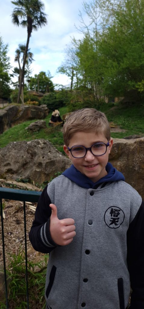 son-plus-beau-reve-theo-panda-zoo-de-beauval-1